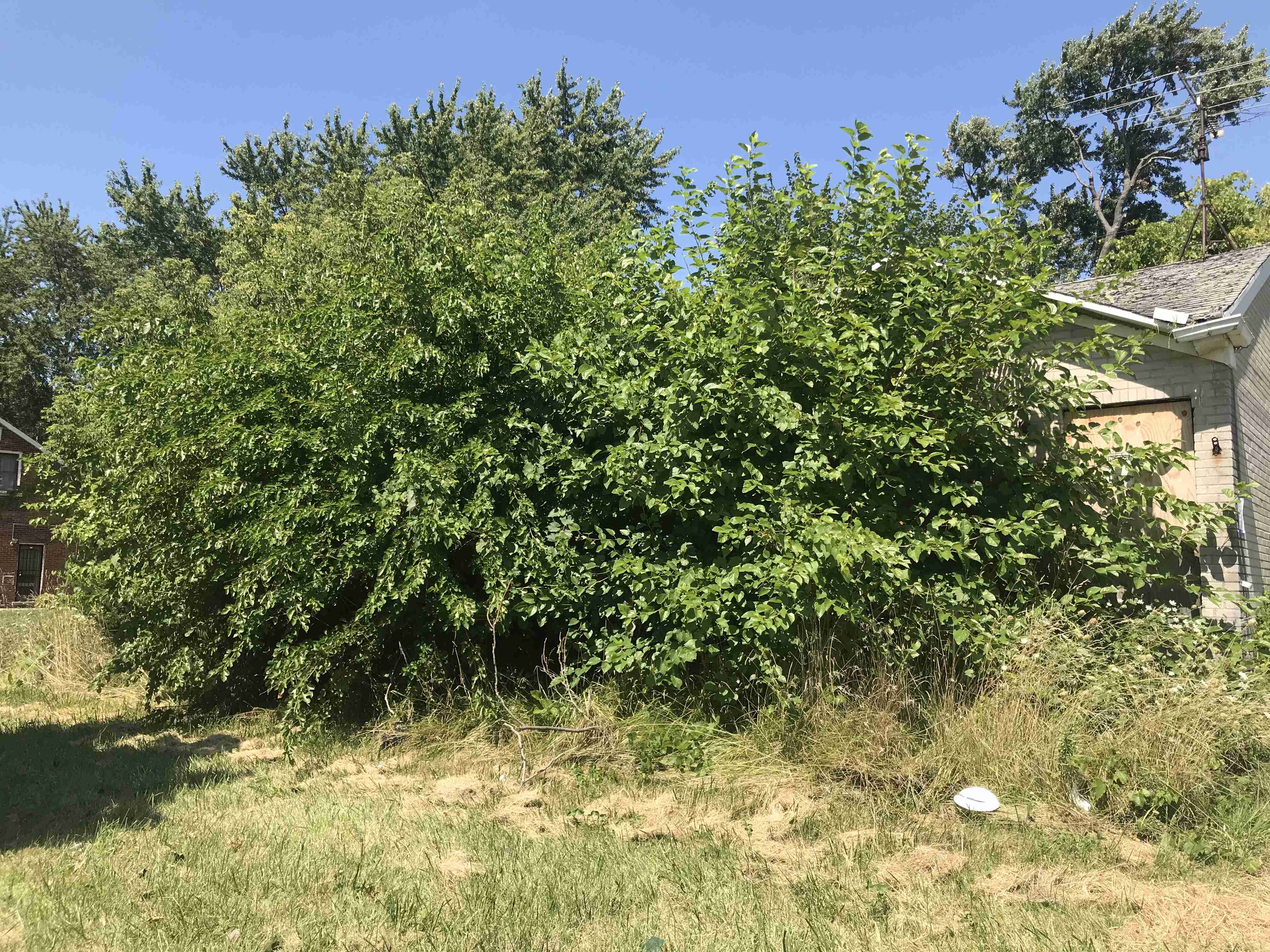 Photo Aug 21, 1 25 19 PM.jpg